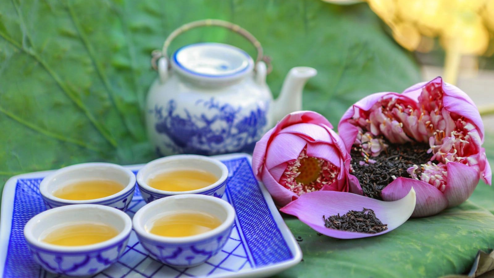 Trà sen Tây Hồ